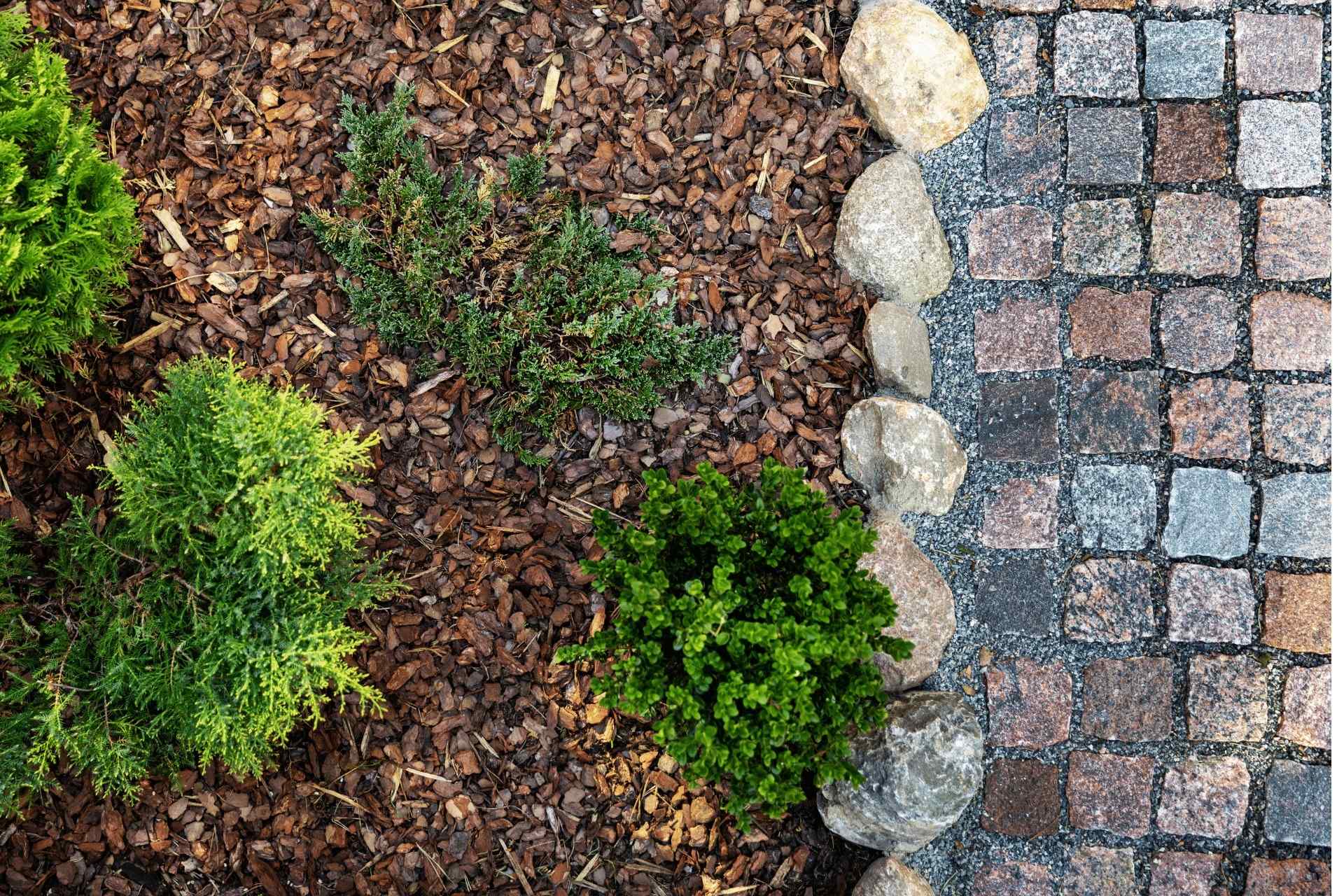 Services - Tom's Mulch & Landscaping