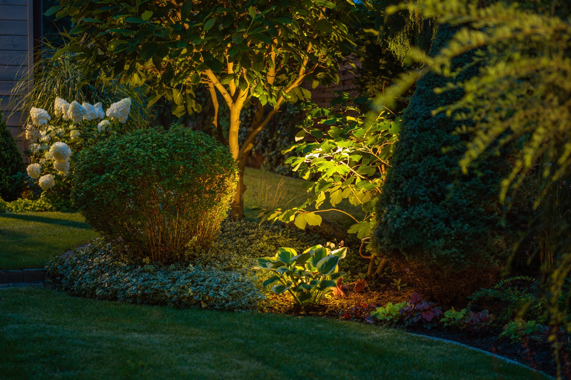 Landscape Lighting - Tom's Mulch & Landscaping
