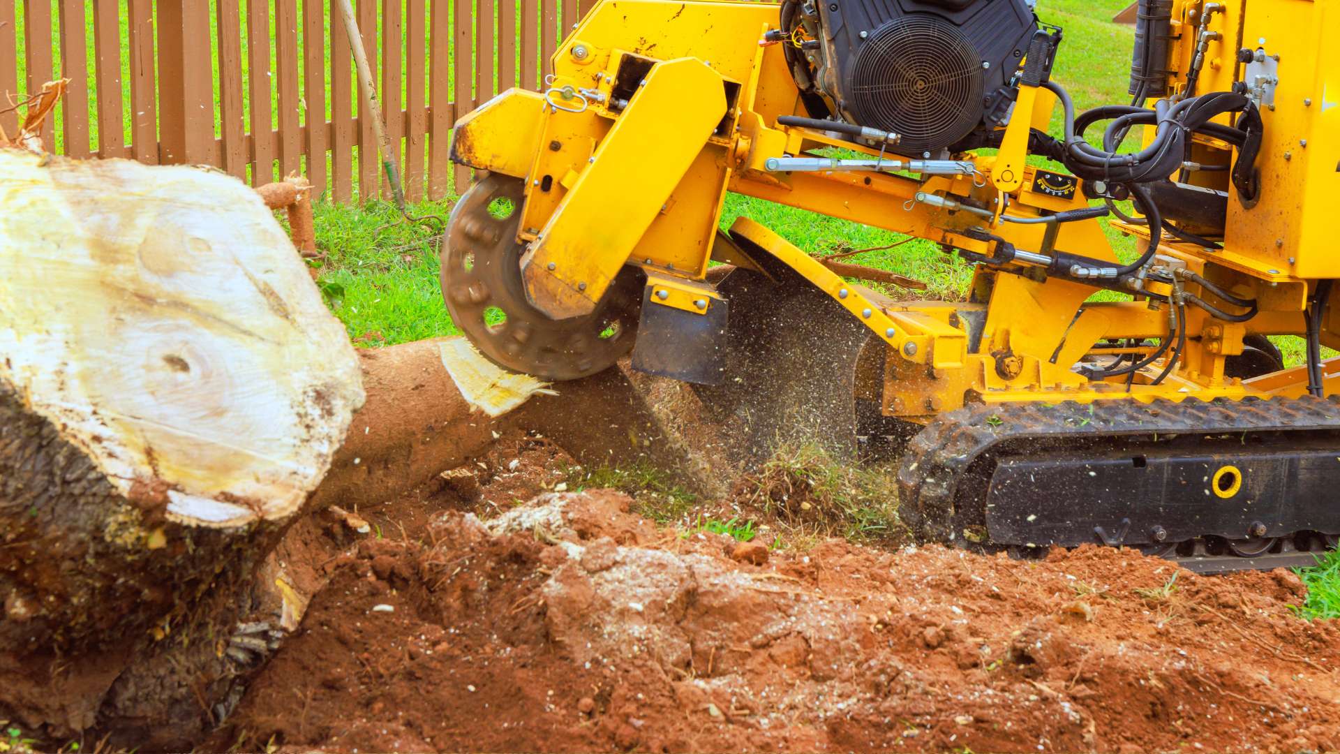 Small Tree Removal - Tom's Mulch & Landscaping