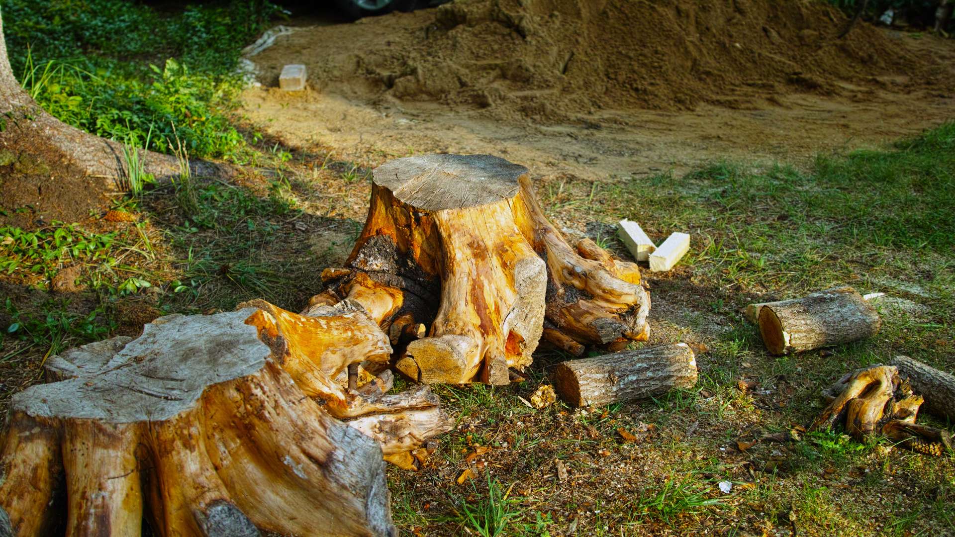 Small Tree Removal - Tom's Mulch & Landscaping