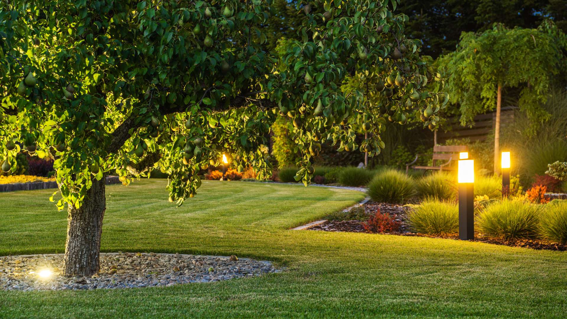 Landscape Lighting - Tom's Mulch & Landscaping