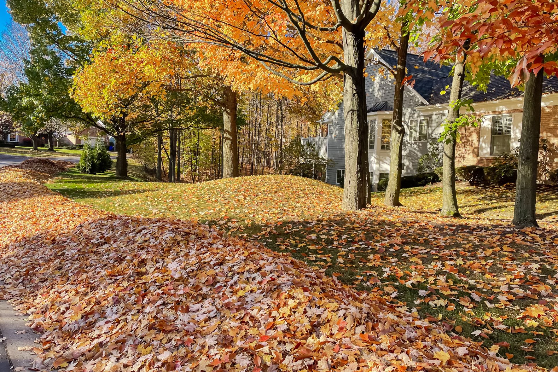 Fall Cleanups & Leaf Removal - Tom's Mulch & Landscaping