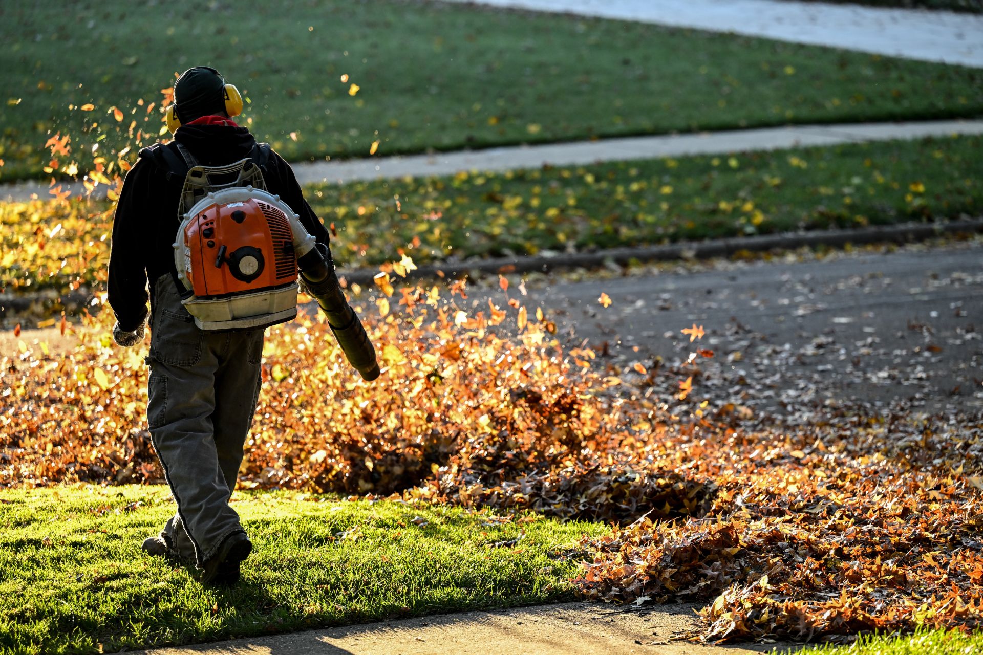 Fall Cleanups & Leaf Removal - Tom's Mulch & Landscaping