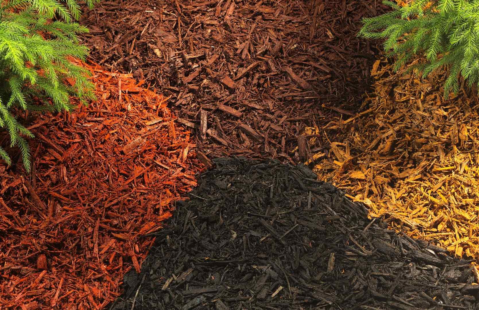 Gallery - Tom's Mulch & Landscaping